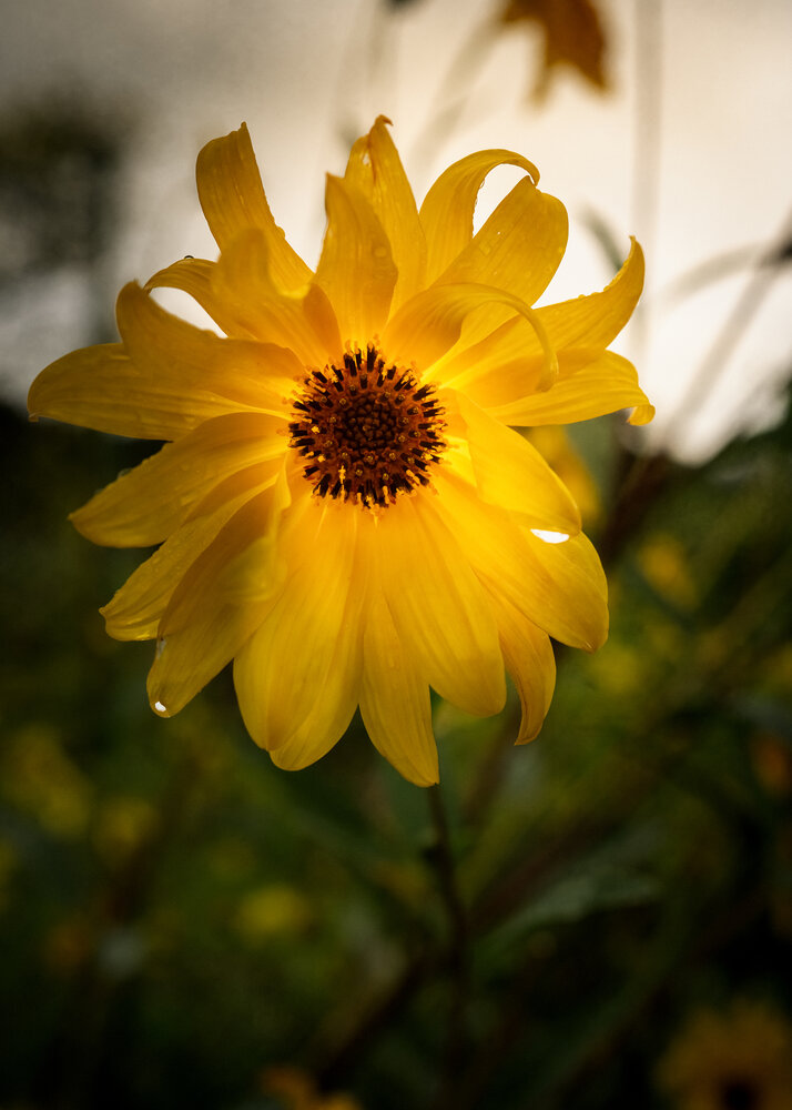 Photograph by Геннадий Зильберис
