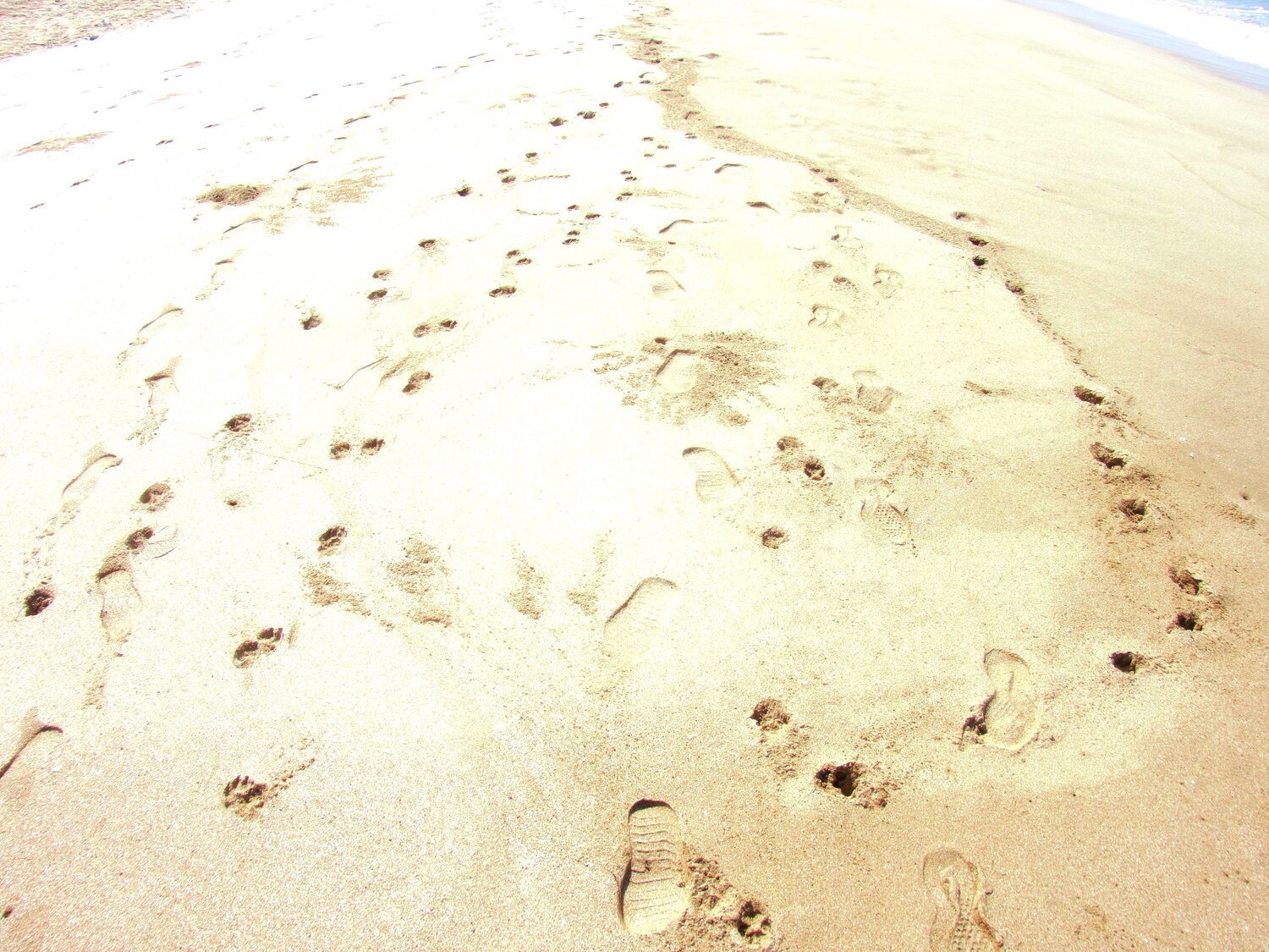 Photo #13913007