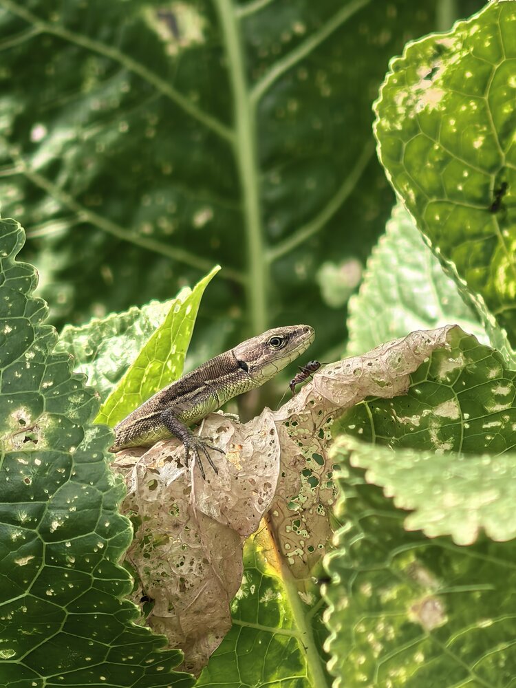 Photograph by Елена Шляхова