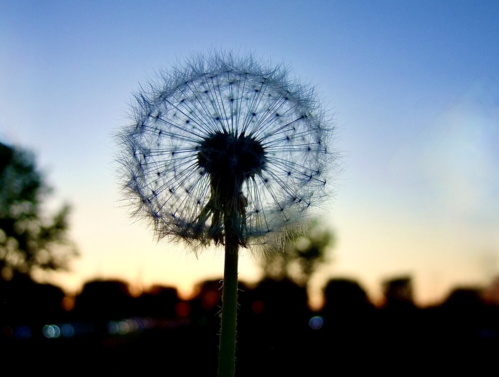 Photograph by Татьяна Шитлина