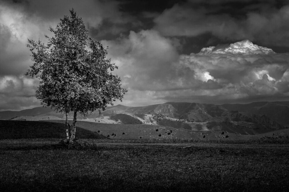 Photograph by Василий Ковалев