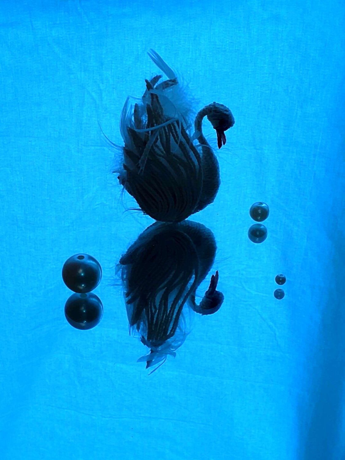 Photo #13913138
