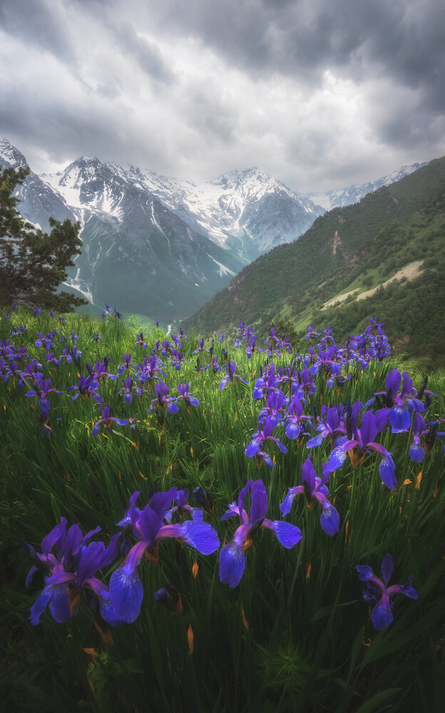 Photograph by Кахарова Наргиза