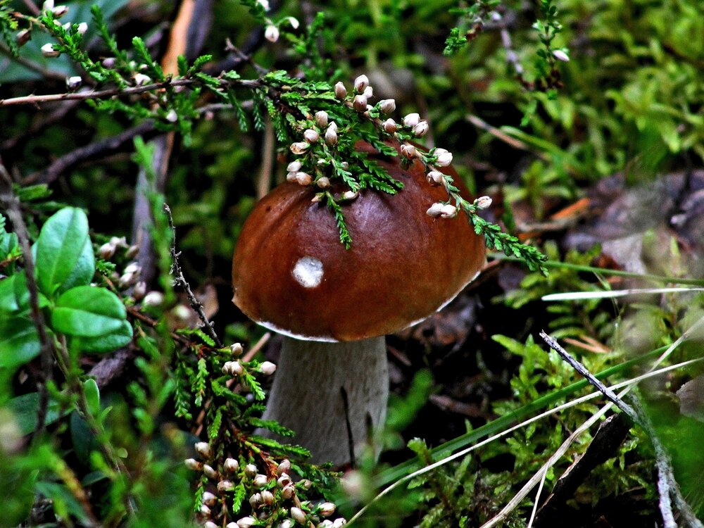 Photograph by Юлия Иванова