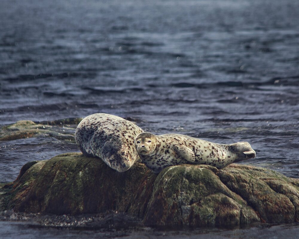 Photograph by Lev Konovalov