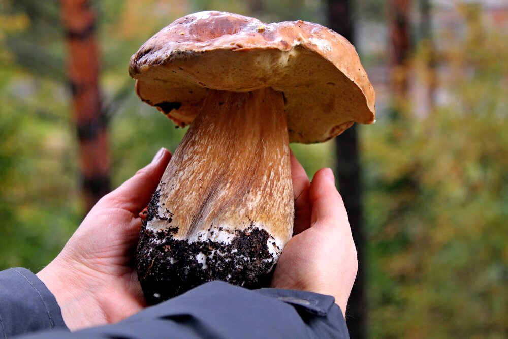 Photograph by Юлия Иванова