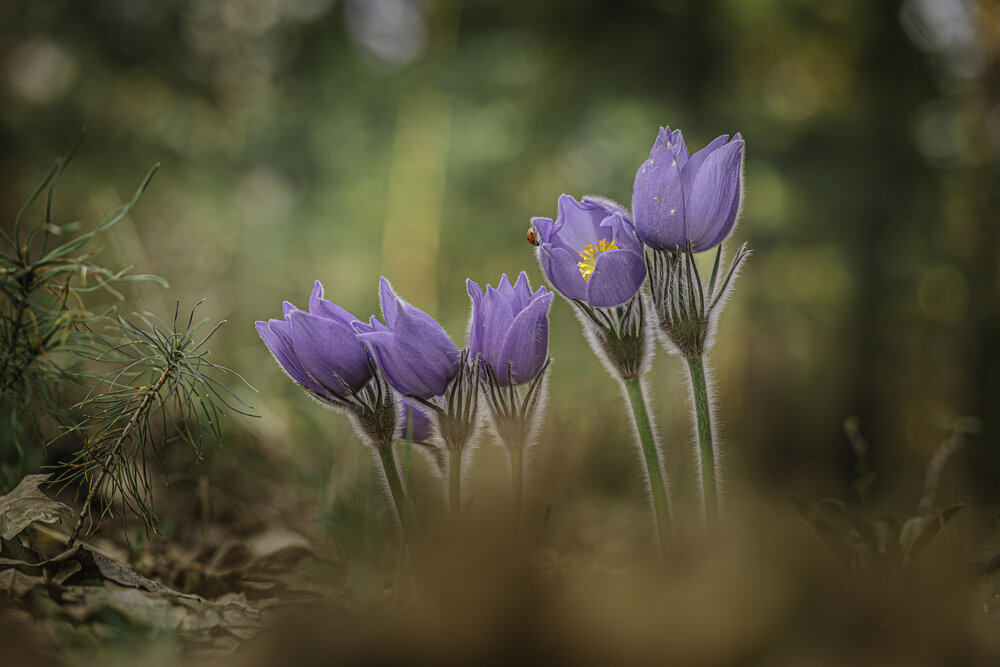 Photograph by Зайцев Роман