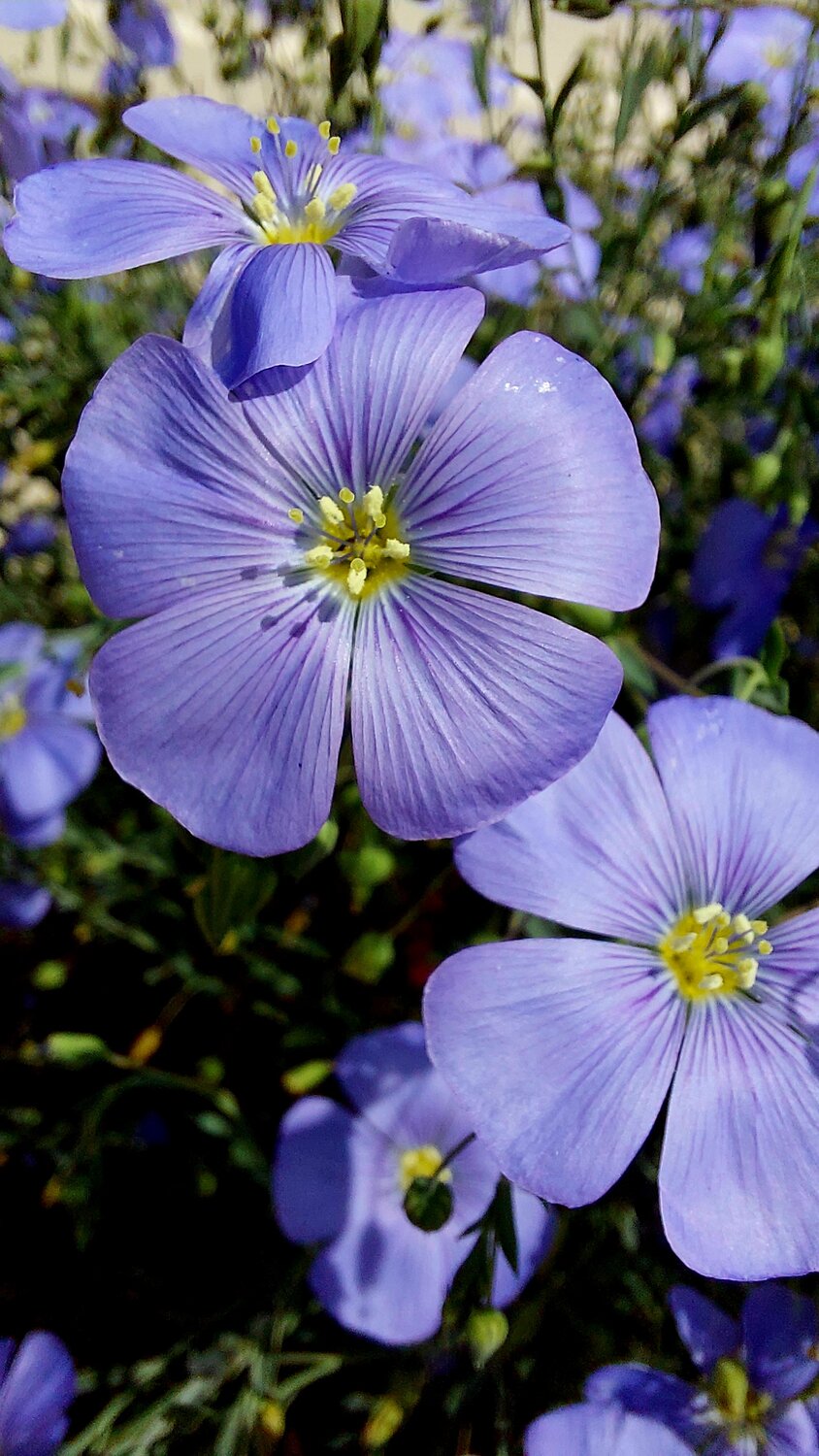 Photo #13913434