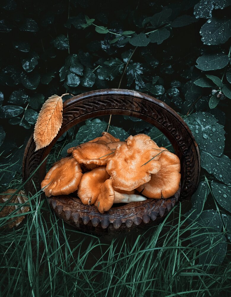 Photograph by Юлия Порфирьева