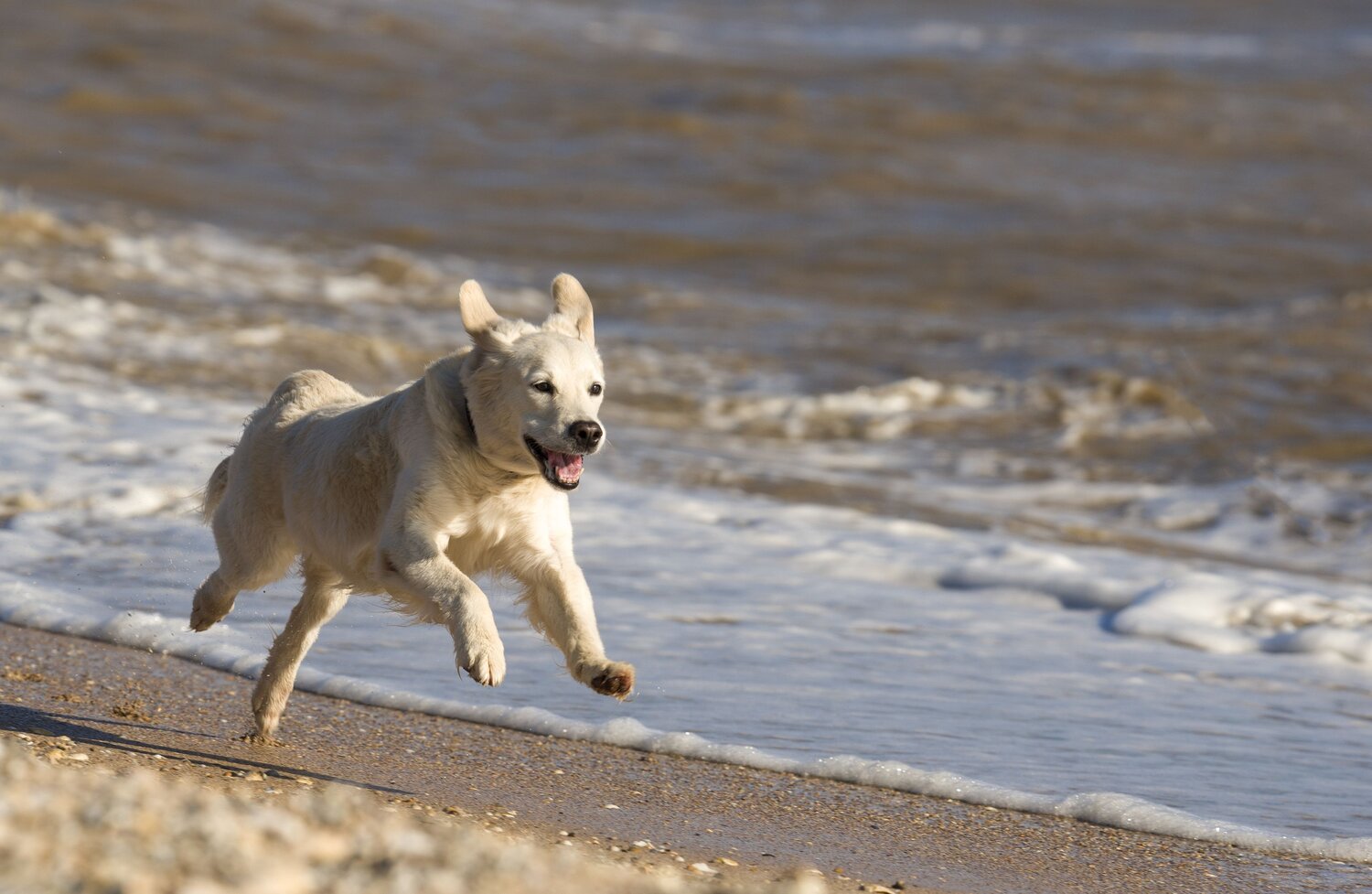 Photo #13913565