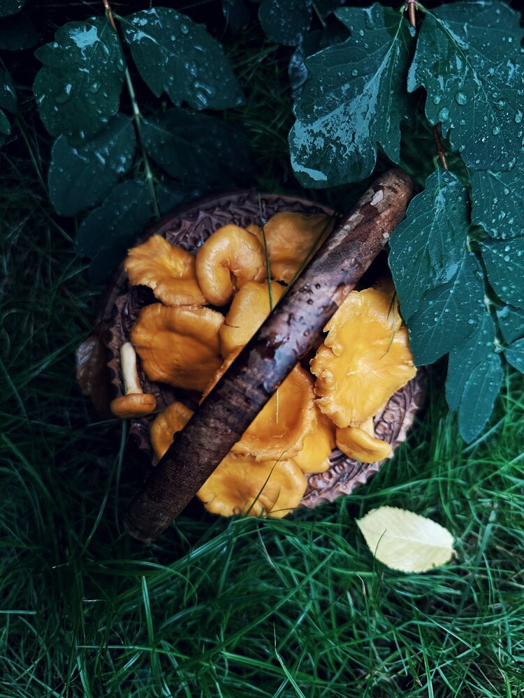 Photograph by Юлия Порфирьева