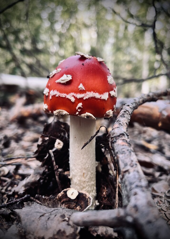 Photograph by Ольга Белоусова