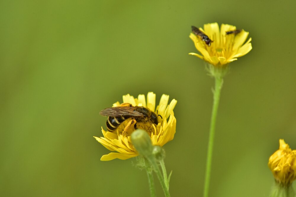 Photograph by Yuri Afanasyev
