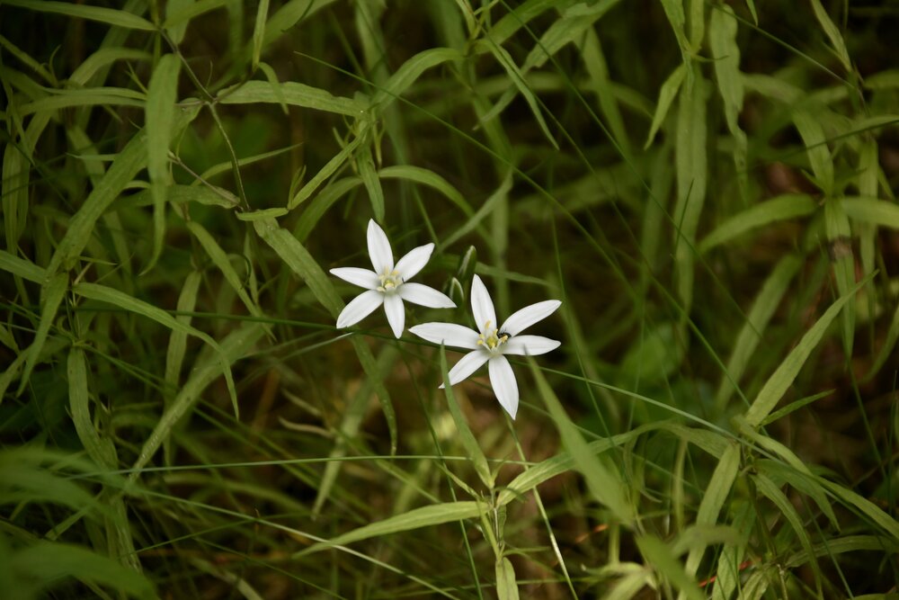 Photograph by Yuri Afanasyev