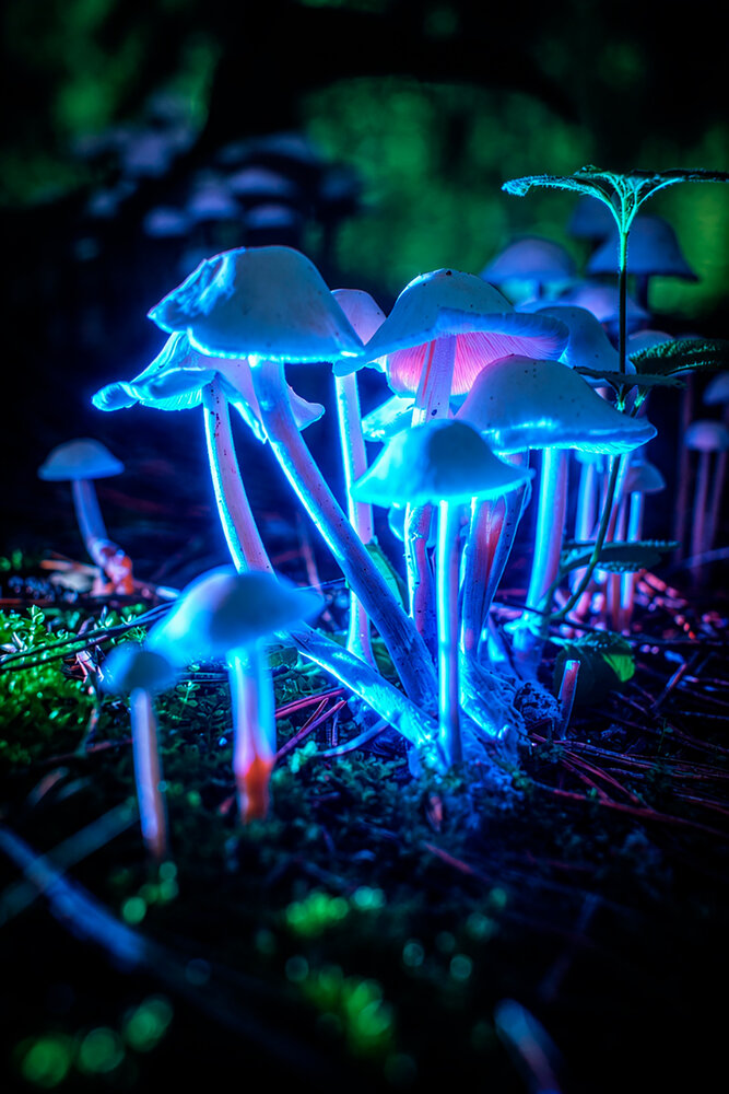 Photograph by Кирилл Гатин
