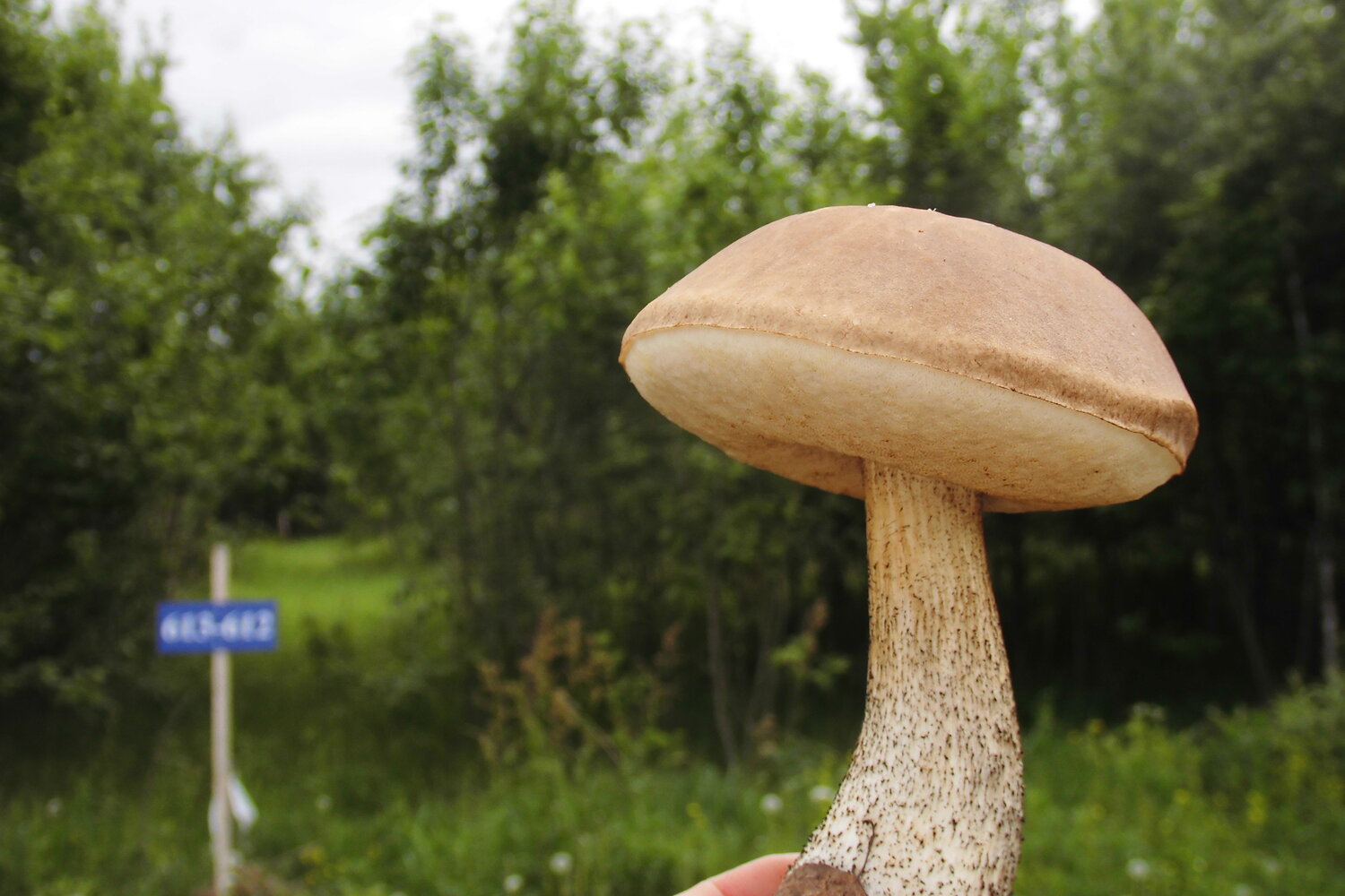 Photo #13913948