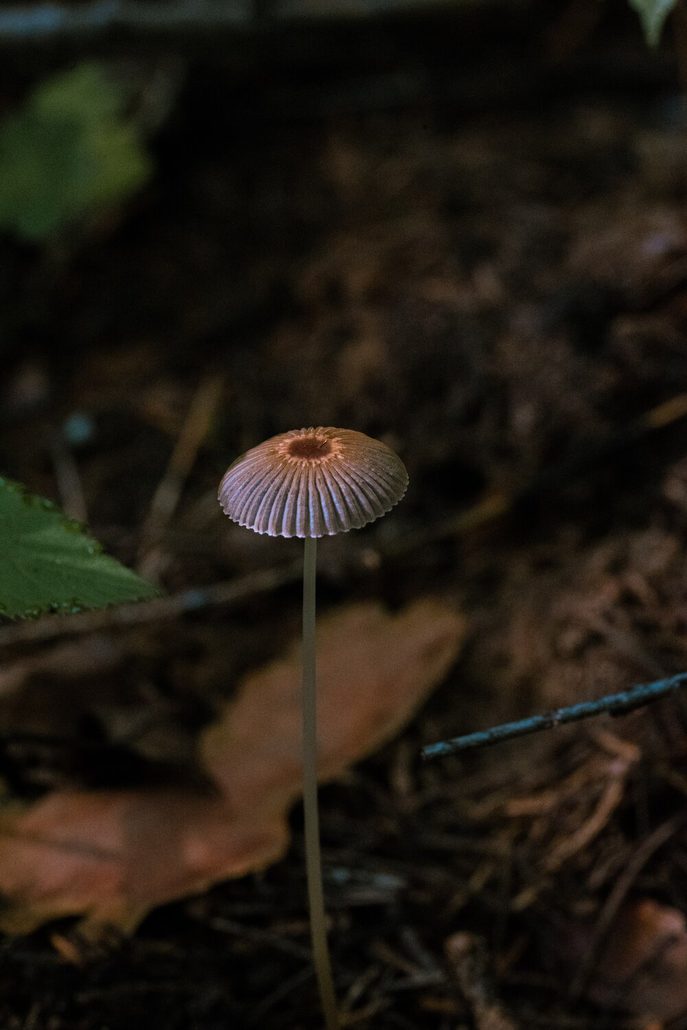 Photo #13913957