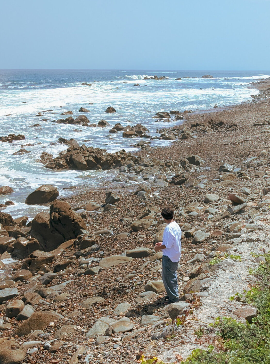 Photo #13913976