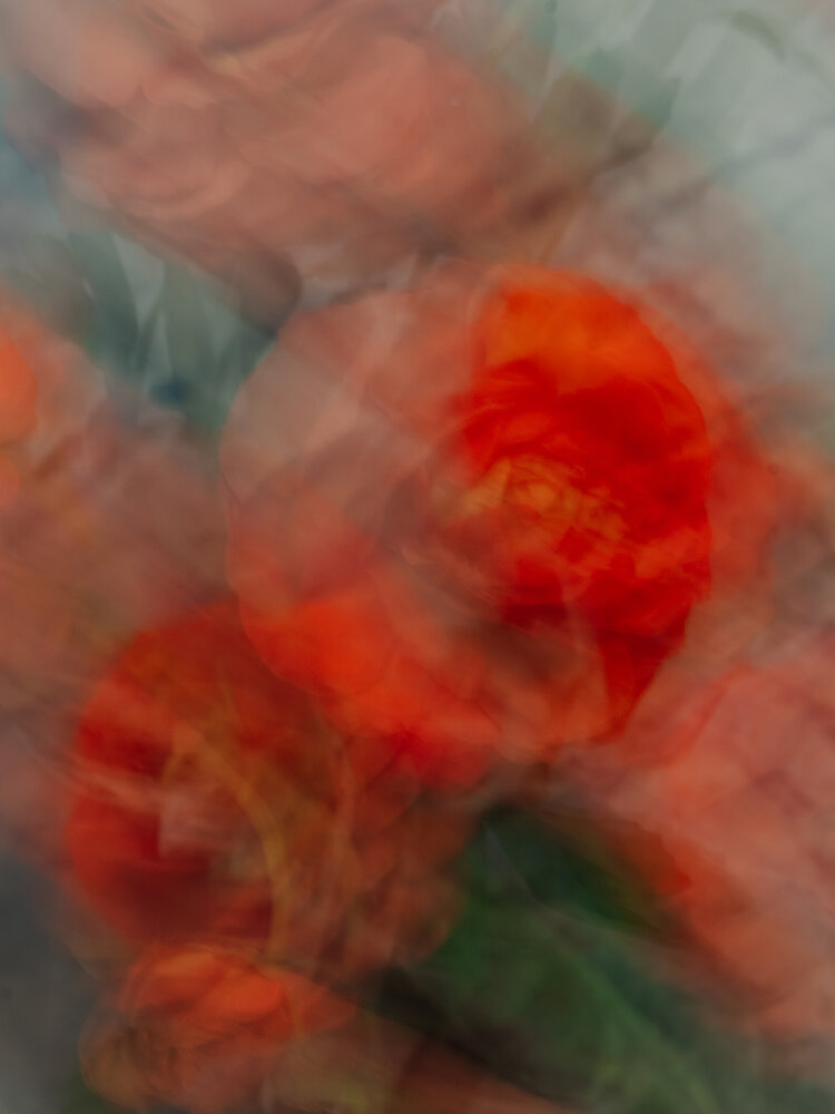 Photograph by Grushko Valeriya