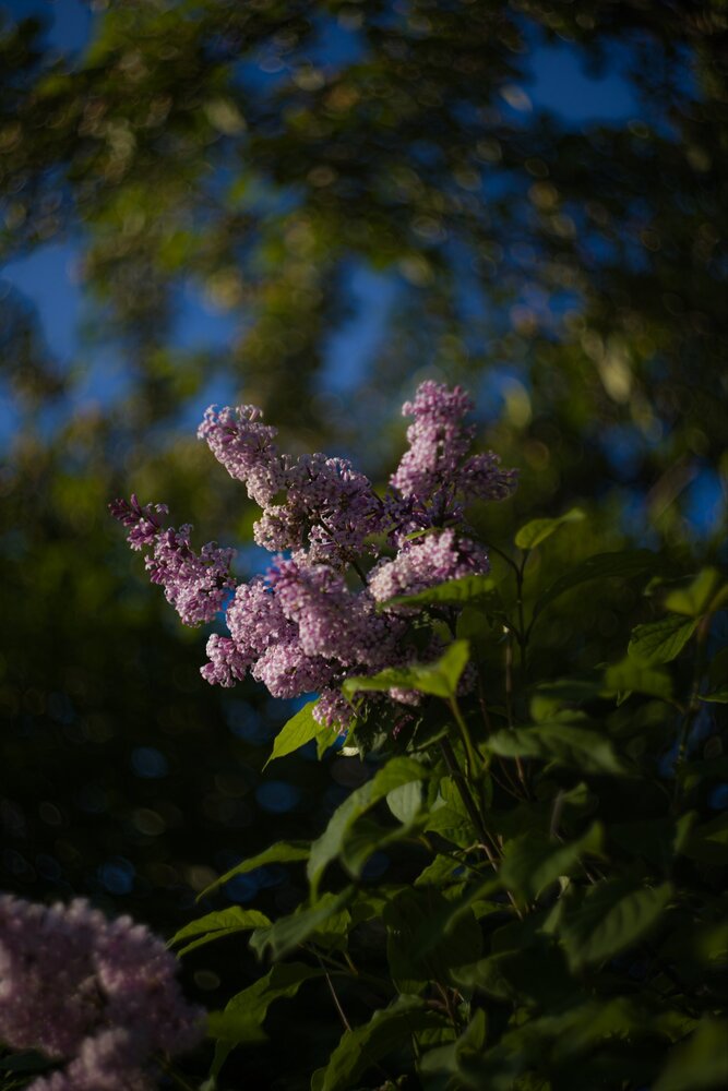 Photograph by Дима Шарапов