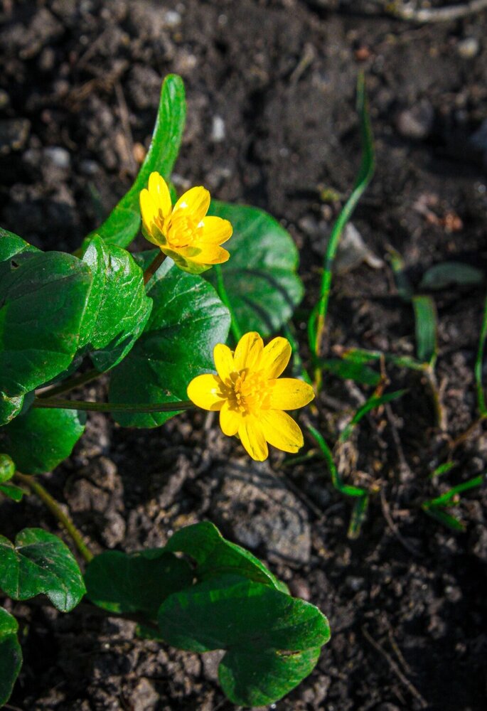 Photograph by Danila Mishchenko