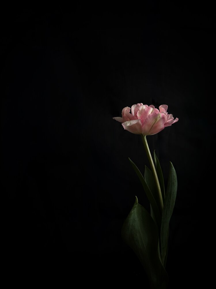 Photograph by Дина Чехова
