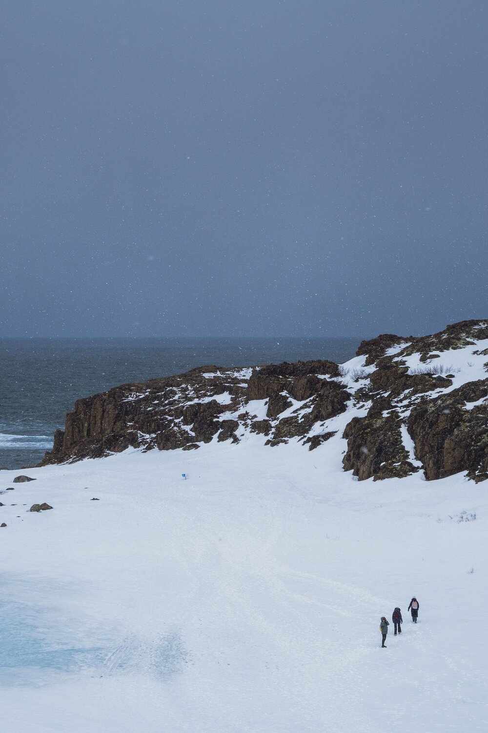 Photo #13914072
