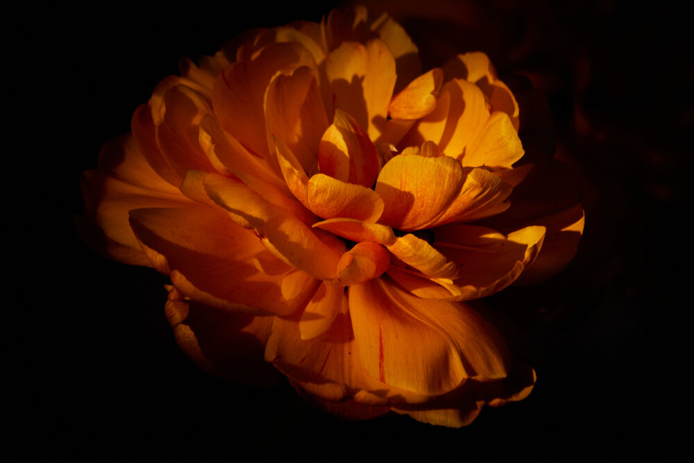 Photograph by Татьяна Полянская