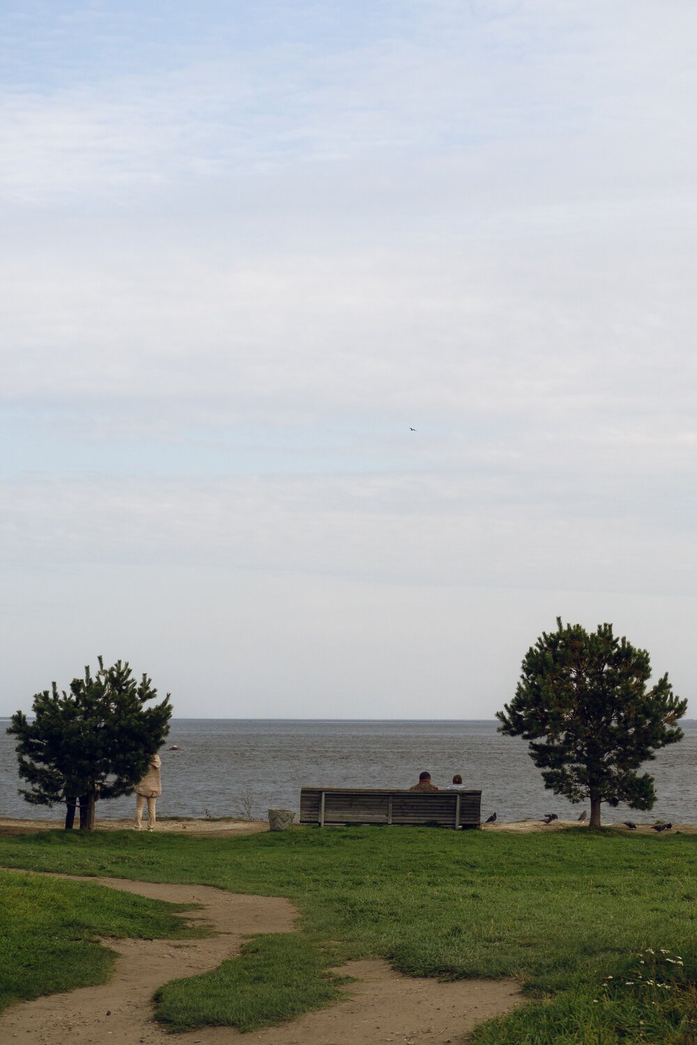 Photo #13914083