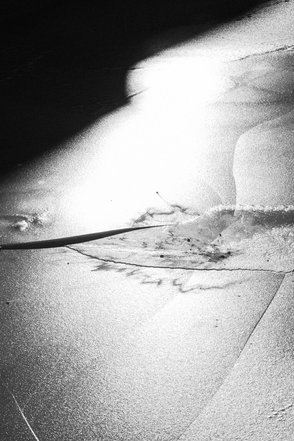 Photo #13914088