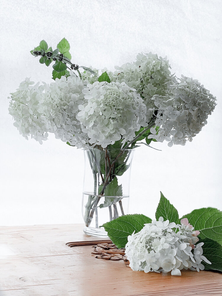 Photograph by Логинова Наталия