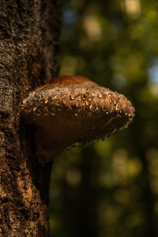 Photograph by Виктория Трущенко
