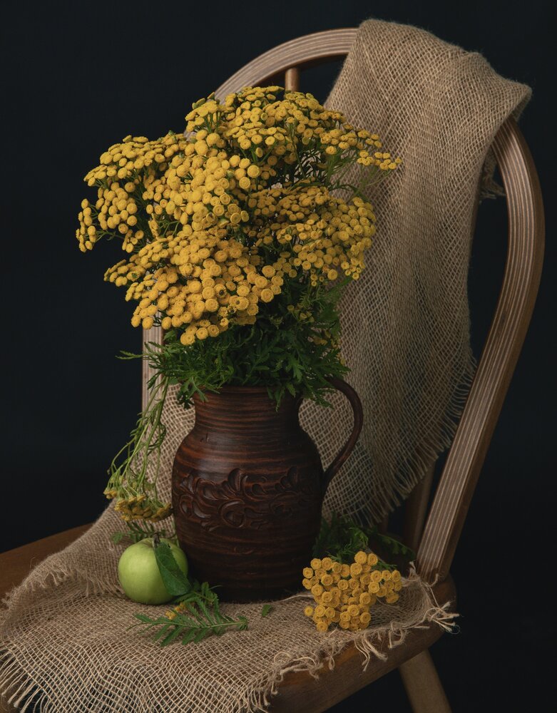 Photograph by Татьяна Зуйкова