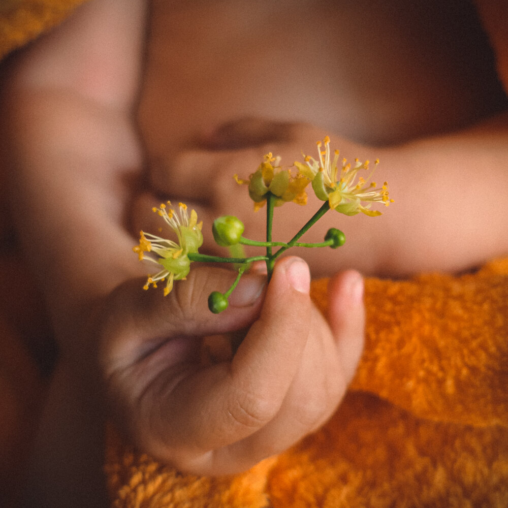 Photograph by Елена Брыкова