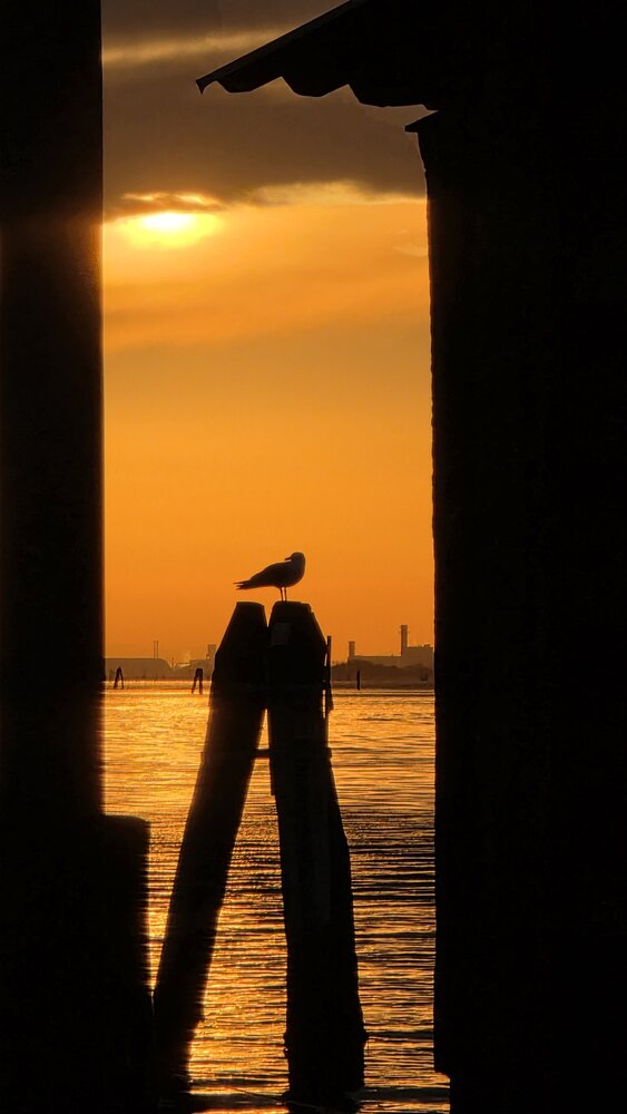 Photograph by esti lahat