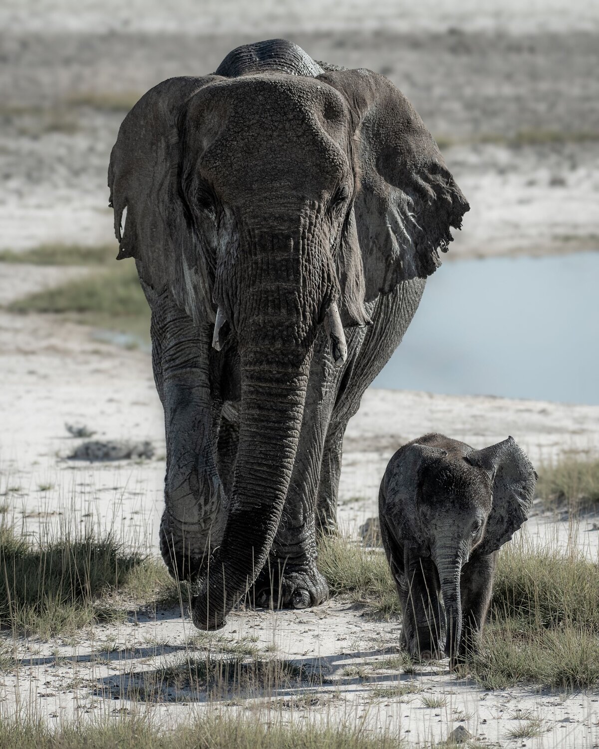 Mother and Child
