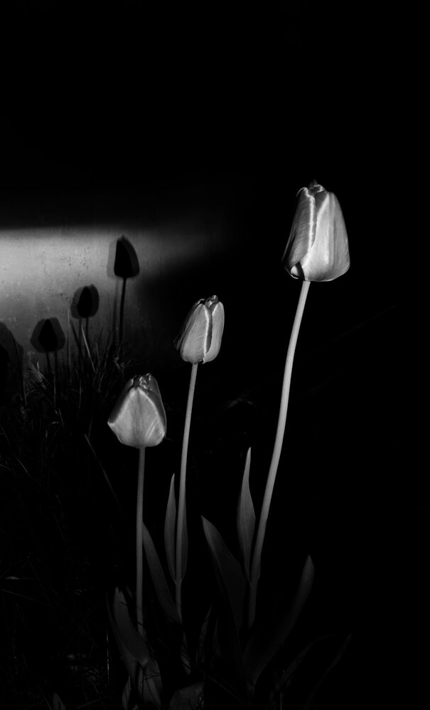 Photograph by Елена