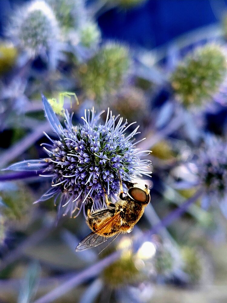 Photograph by Ирина Жукова