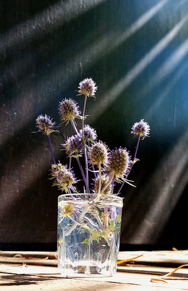 Photograph by Ирина Жукова