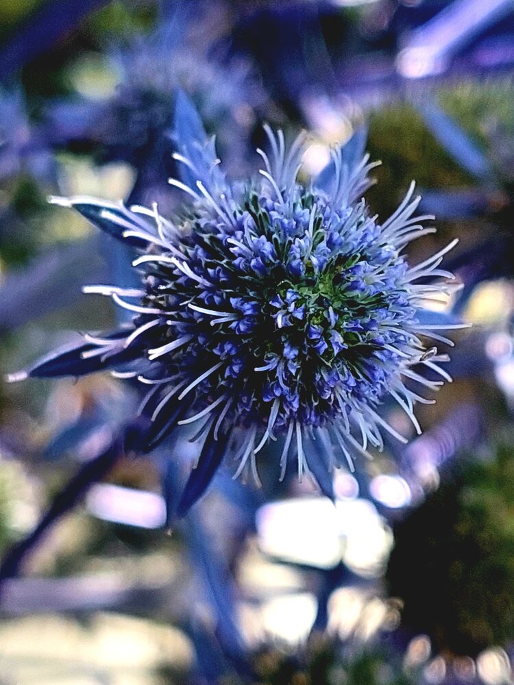 Photograph by Ирина Жукова