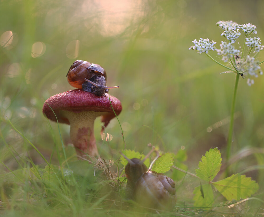 Photograph by Евгения Левина