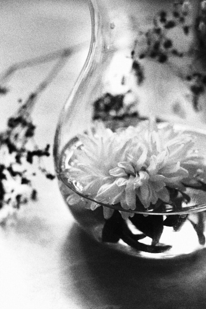 Photograph by Viktorija Bočarova