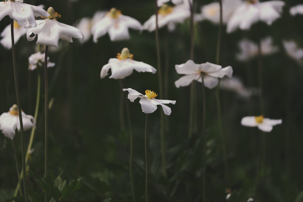 Photograph by Ольга