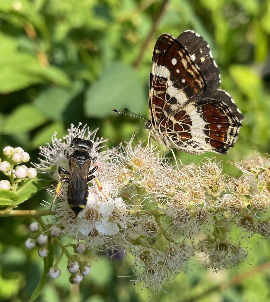 Photograph by Светлана Хохлова