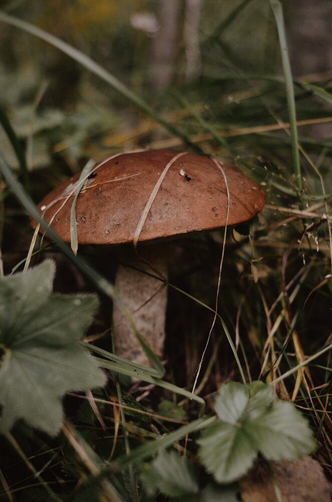 Photograph by Ольга Белогузова