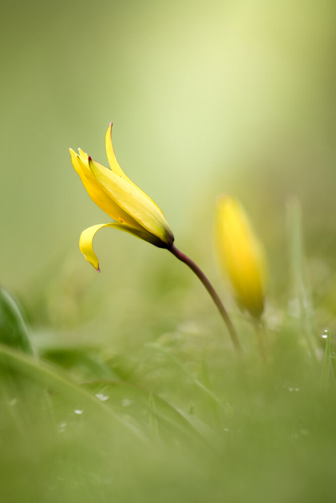 Photograph by Сергей Кравченко