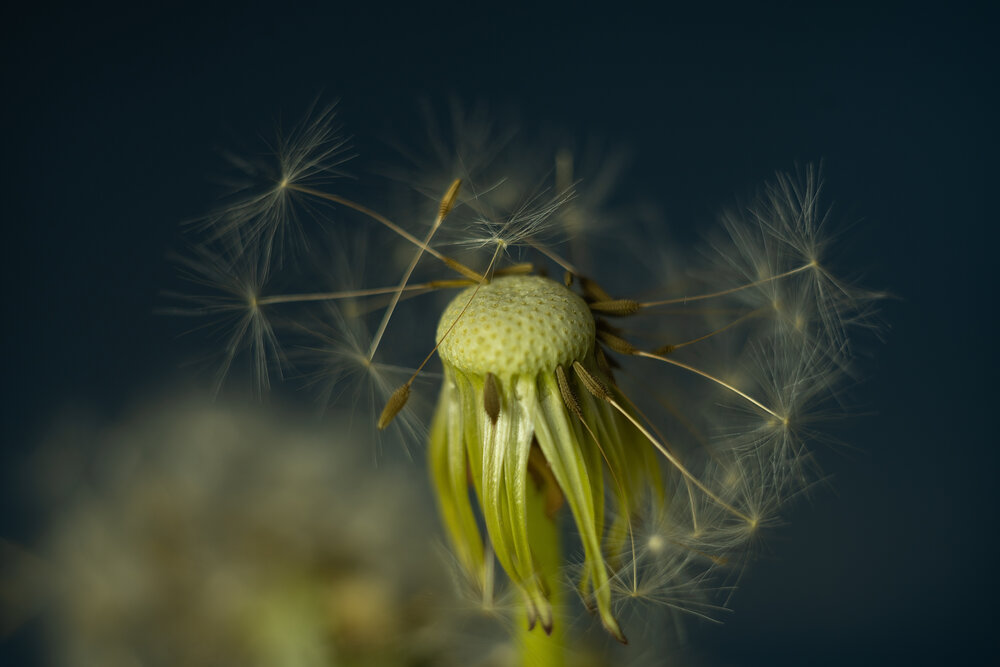 Photograph by Татьяна Симоненко