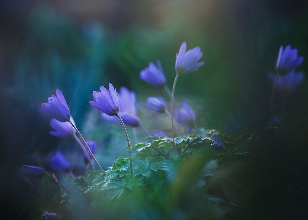 Photograph by Инна Сухова
