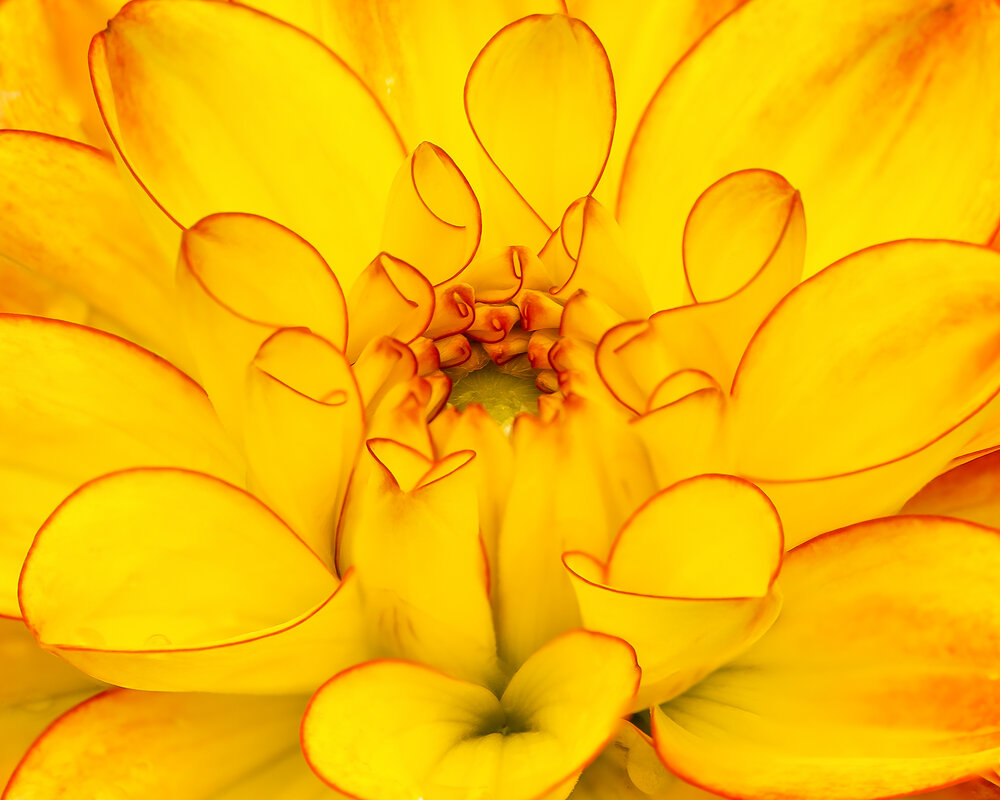 Photograph by Ed van der Reek