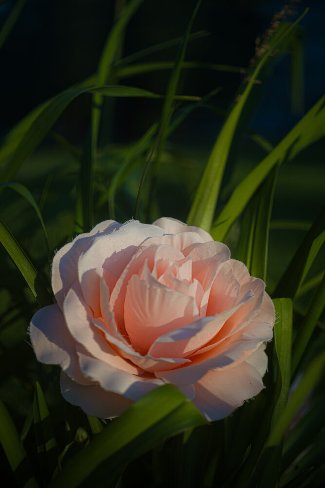 Photograph by Дима Шарапов